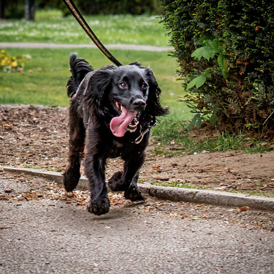 Woking-Parkrun-220507-340