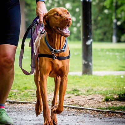 Woking-Parkrun-220507-346