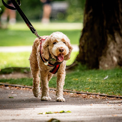 Woking-Parkrun-220507-469