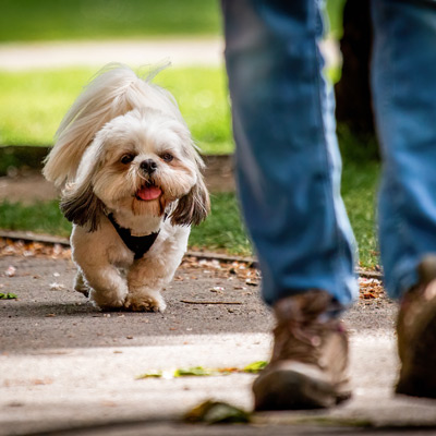 Woking-Parkrun-220507-470